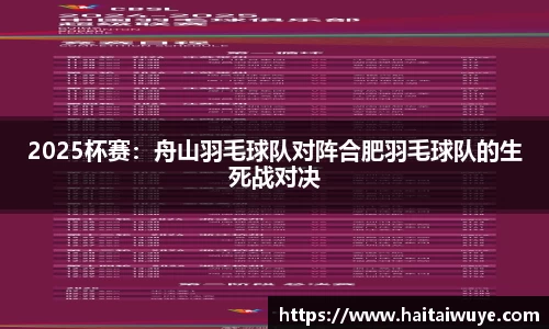 2025杯赛：舟山羽毛球队对阵合肥羽毛球队的生死战对决
